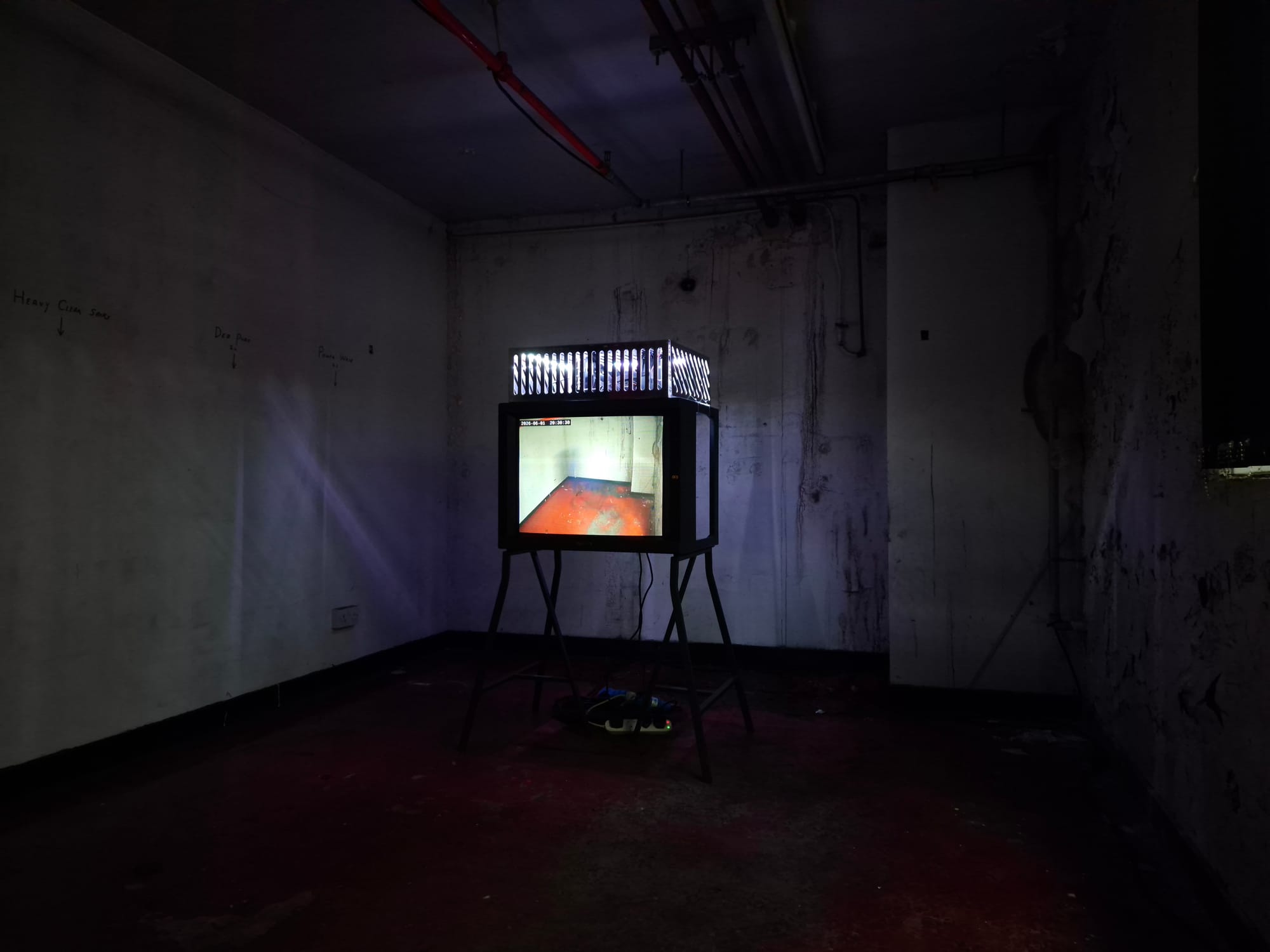 In Translucence on display at Hidden Door Festival