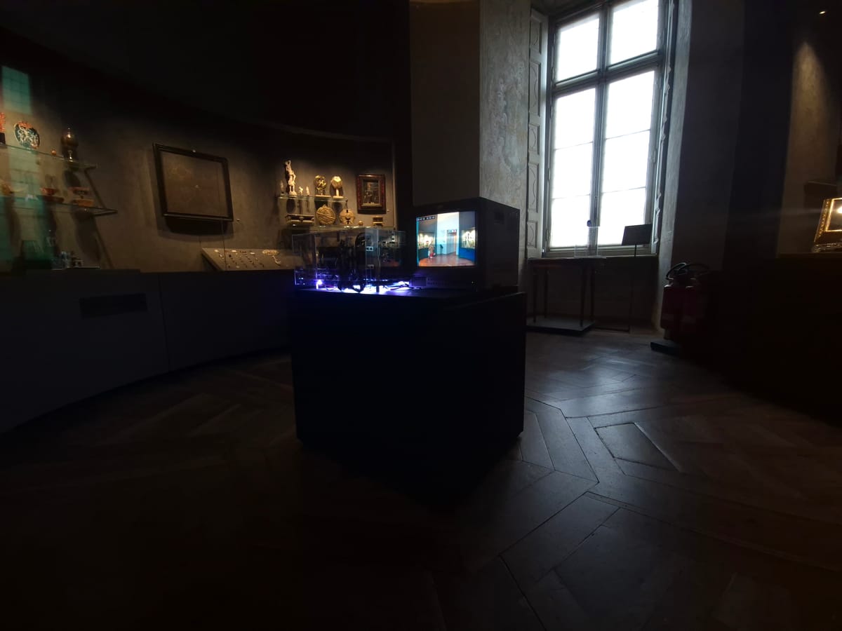 "In Translucence" on display at Palazzo Madama, Torino for xCoAx 2026